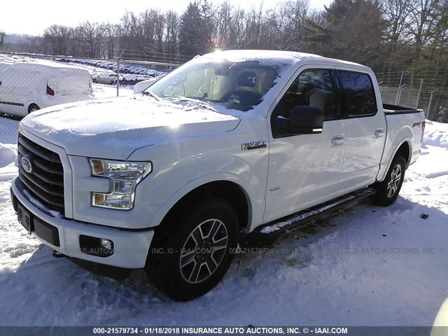 1FTEW1EP5FFB96281 - 2015 FORD F150 SUPERCREW WHITE photo 2