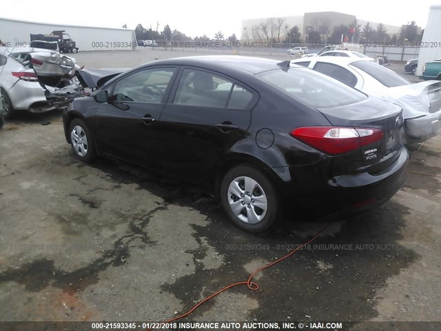 KNAFK4A68G5446132 - 2016 KIA FORTE LX BLACK photo 3