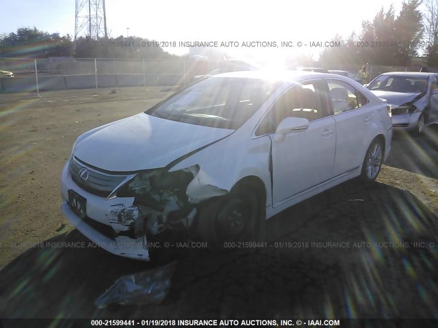 JTHBB1BA8A2014926 - 2010 LEXUS HS 250H WHITE photo 2