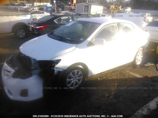 2T1BU4EE1BC727505 - 2011 TOYOTA COROLLA S/LE WHITE photo 2