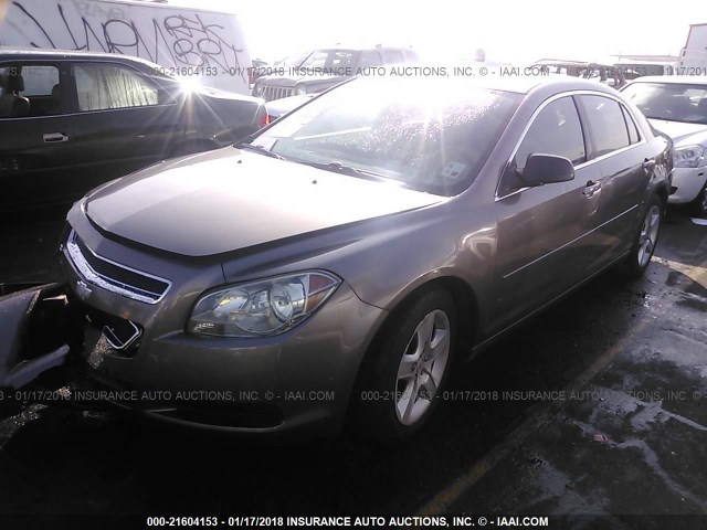 1G1ZB5E16BF204620 - 2011 CHEVROLET MALIBU LS ყავისფერი ფოტო 2