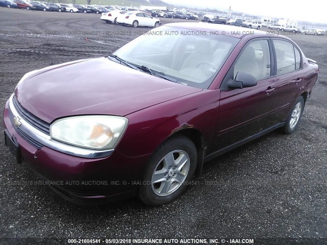 1G1ZT52895F238988 - 2005 CHEVROLET MALIBU LS 勃艮第红 照片 2