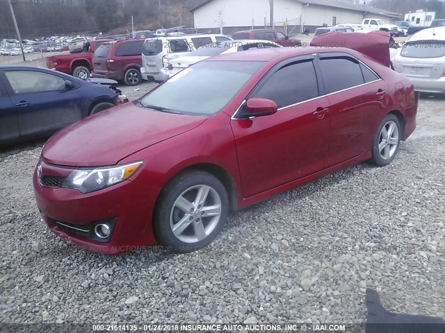 4T1BF1FKXEU831605 - 2014 TOYOTA CAMRY L/SE/LE/XLE 红色 照片 2