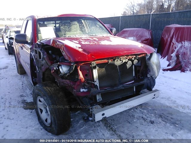 5TEUX42N09Z652188 - 2009 TOYOTA TACOMA ACCESS CAB RED photo 6