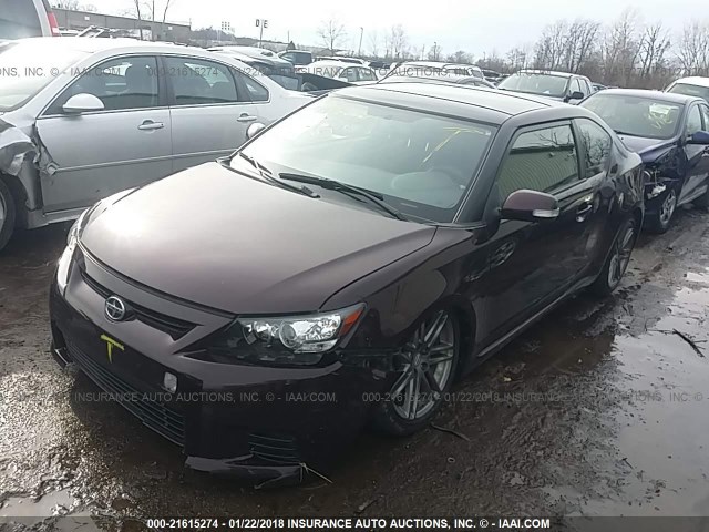 JTKJF5C7XD3062477 - 2013 TOYOTA SCION TC 栗色 照片 2