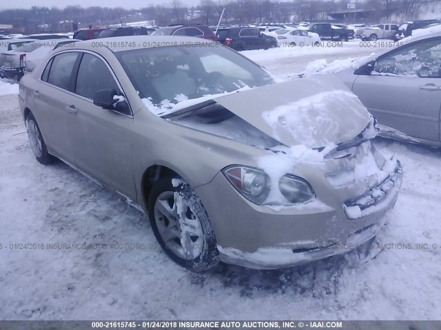 1G1ZB5EB3AF310207 - 2010 CHEVROLET MALIBU LS თაფლისფერი ფოტო 1