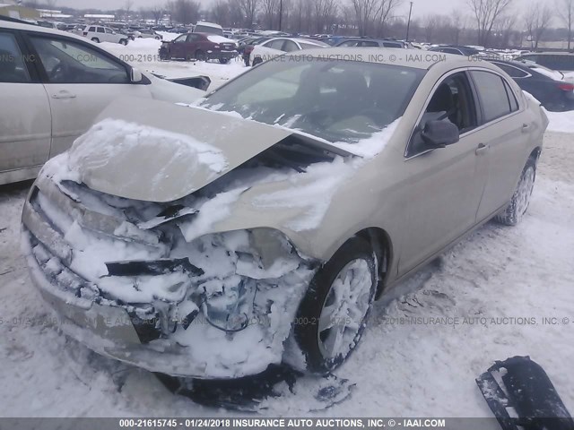 1G1ZB5EB3AF310207 - 2010 CHEVROLET MALIBU LS თაფლისფერი ფოტო 2