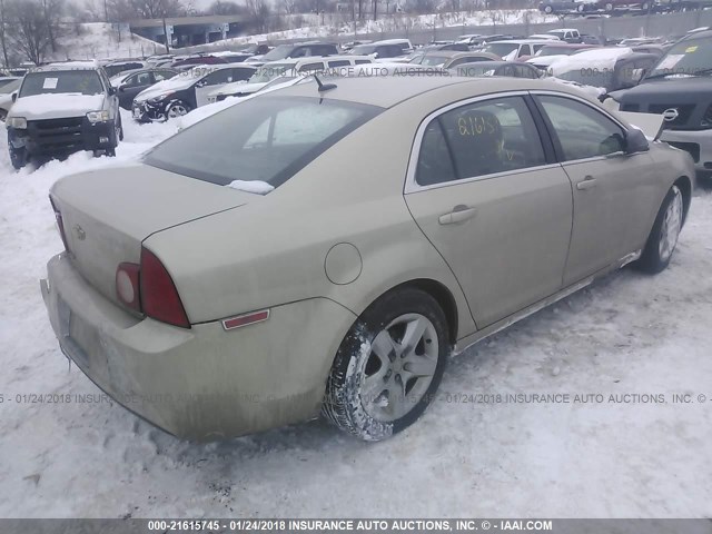 1G1ZB5EB3AF310207 - 2010 CHEVROLET MALIBU LS თაფლისფერი ფოტო 4