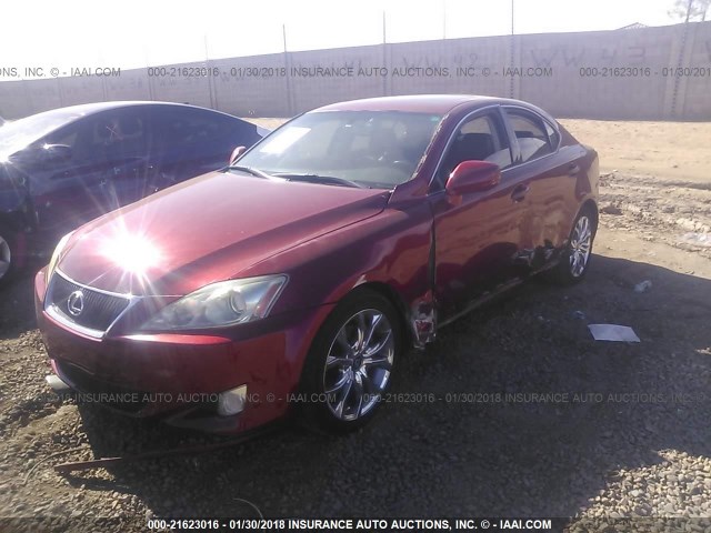 JTHBK262185082275 - 2008 LEXUS IS 250 RED photo 2