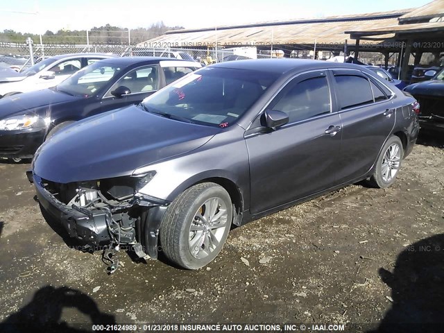 4T1BF1FK8GU154489 - 2016 TOYOTA CAMRY LE/XLE/SE/XSE GRAY photo 2