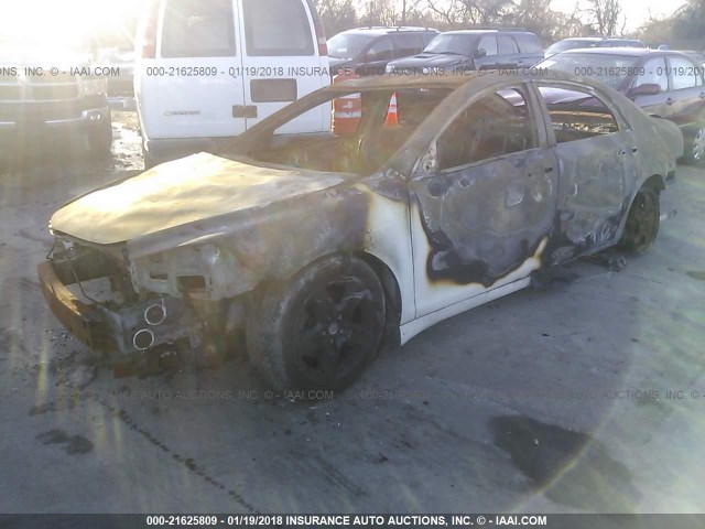 1G1ZA5EU4BF347739 - 2011 CHEVROLET MALIBU LS 白色 照片 2