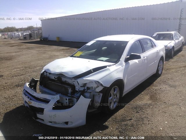 1G1ZB5E18BF248277 - 2011 CHEVROLET MALIBU LS 白色 照片 2
