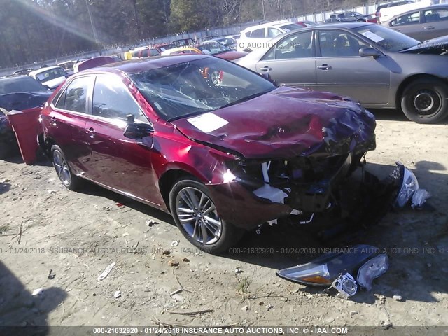 4T1BF1FK9HU663119 - 2017 TOYOTA CAMRY LE/XLE/SE/XSE BURGUNDY photo 1