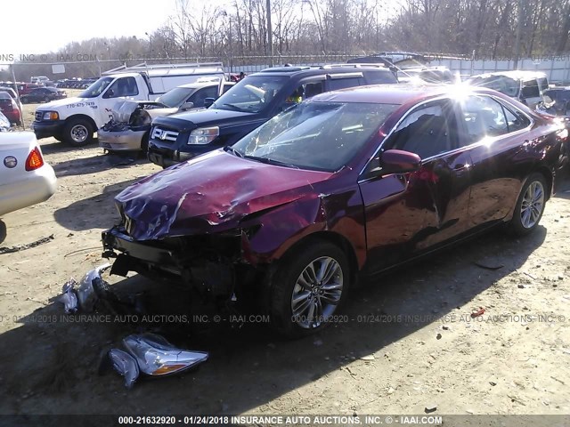 4T1BF1FK9HU663119 - 2017 TOYOTA CAMRY LE/XLE/SE/XSE BURGUNDY photo 2