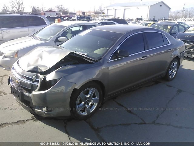 1G1ZB5E16BF398999 - 2011 CHEVROLET MALIBU LS 深棕色 照片 2