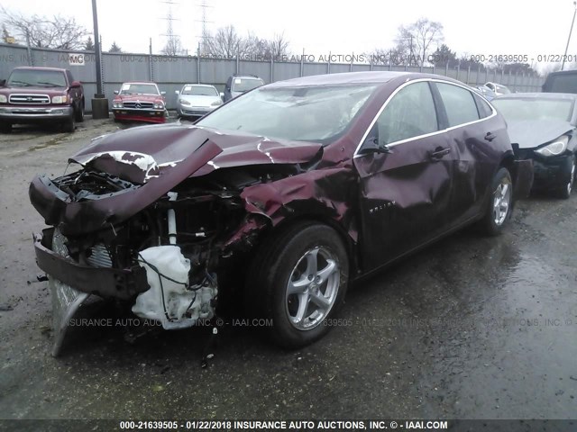 1G1ZB5ST1GF294501 - 2016 CHEVROLET MALIBU LS Bordo foto 2