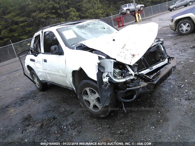 1GNDS13S062295572 - 2006 CHEVROLET TRAILBLAZER LS/LT WHITE photo 1