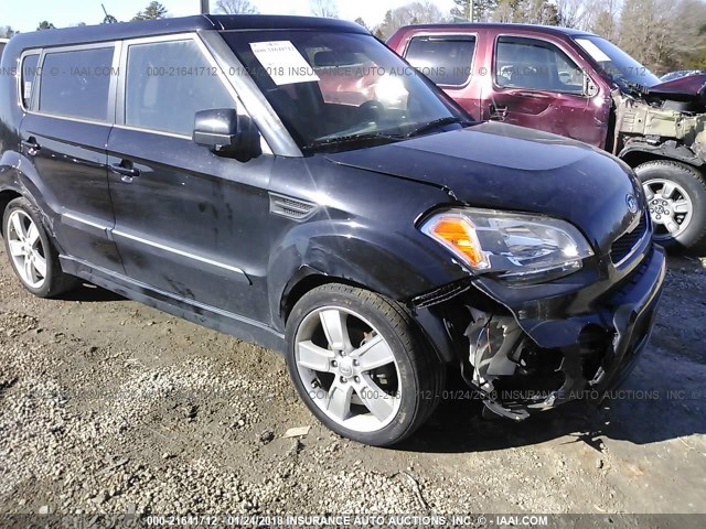 KNDJT2A28B7731566 - 2011 KIA SOUL +/!/SPORT BLACK photo 6