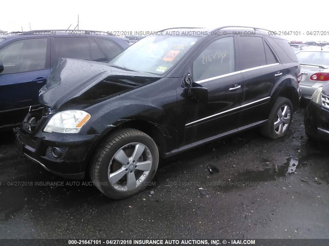4JGBB8GB5BA666918 - 2011 MERCEDES-BENZ ML 350 4MATIC BLACK photo 2