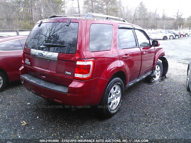 1FMCU9EG6BKA82718 - 2011 FORD ESCAPE LIMITED RED photo 4