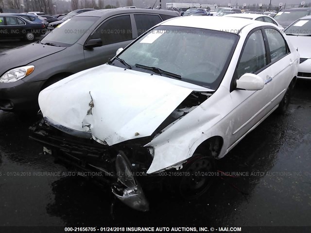 KNAFE221995609629 - 2009 KIA SPECTRA EX/LX/SX WHITE photo 2