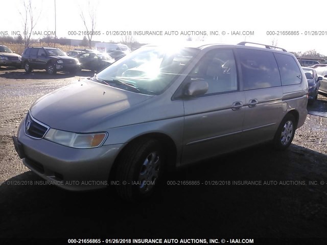 2HKRL18932H578655 - 2002 HONDA ODYSSEY EXL TAN photo 2