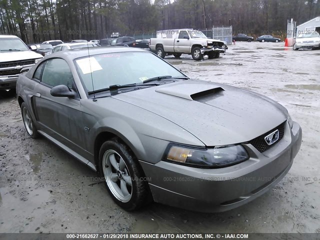 1FAFP42X02F214385 - 2002 FORD MUSTANG GT Pewter photo 1