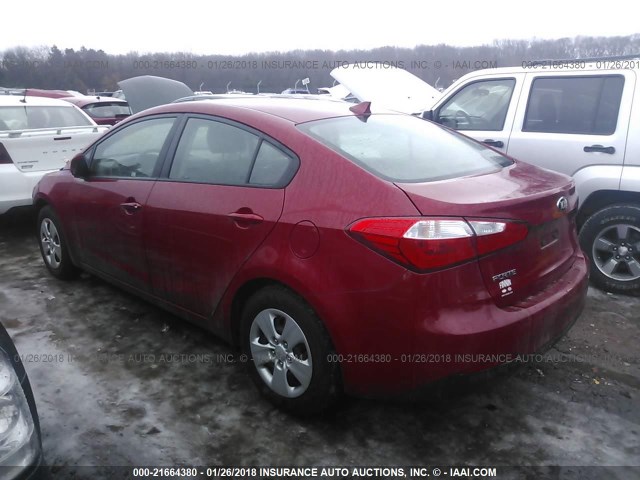 KNAFK4A6XG5567972 - 2016 KIA FORTE LX RED photo 3