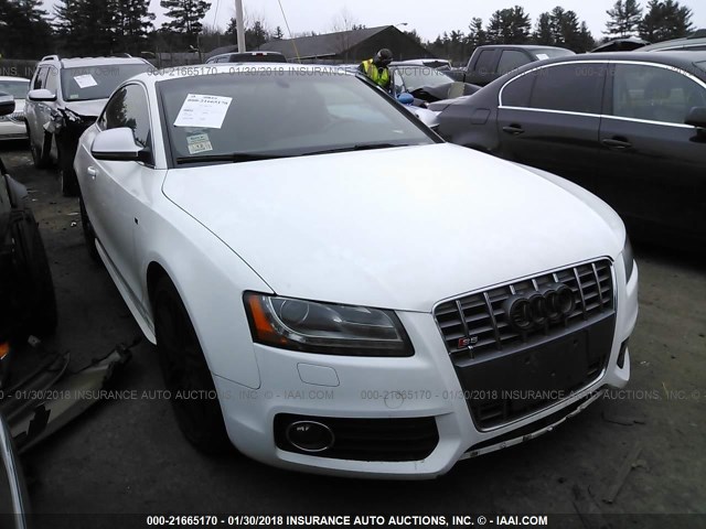 WAURV78TX9A039733 - 2009 AUDI S5 QUATTRO WHITE photo 1