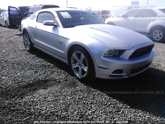 1ZVBP8CF1E5288413 - 2014 FORD MUSTANG GT SILVER photo 1