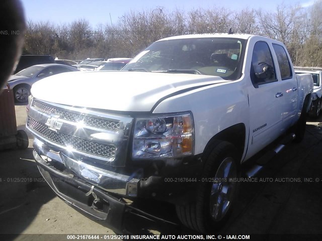 3GCEC13C89G290442 - 2009 CHEVROLET SILVERADO C1500/C1500  LS WHITE photo 2