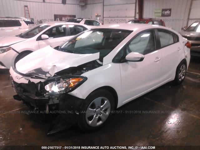 KNAFX4A60F5433147 - 2015 KIA FORTE LX WHITE photo 2