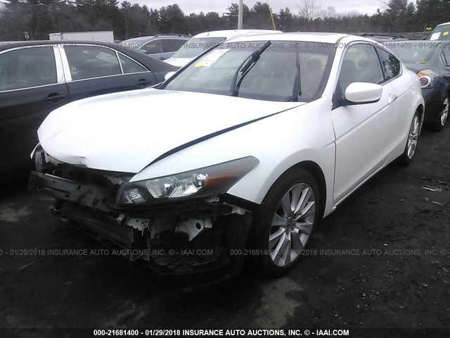 1HGCS22889A011536 - 2009 HONDA ACCORD EXL WHITE photo 2