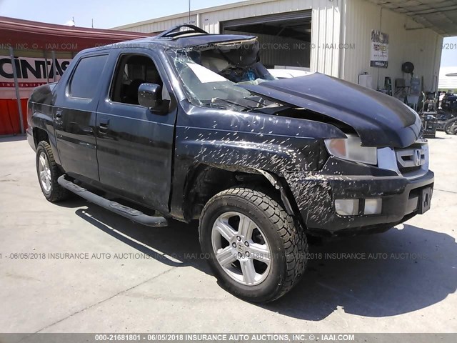 5FPYK1F51BB009842 - 2011 HONDA RIDGELINE RTL BLACK photo 1