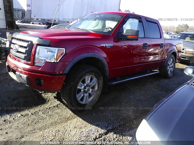 1FTFW1EV0AFB75477 - 2010 FORD F150 SUPERCREW RED photo 2