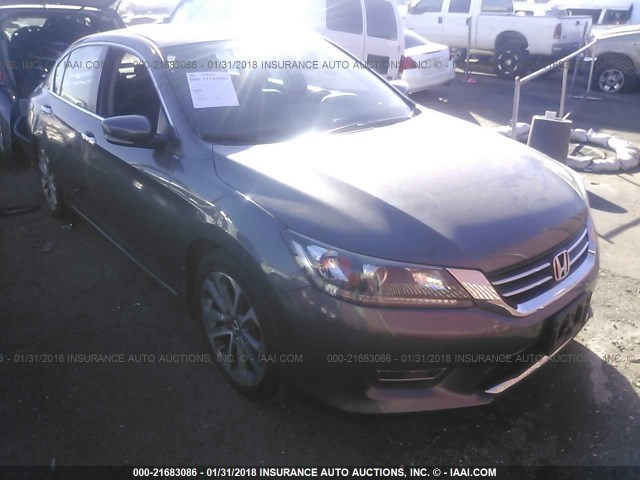 1HGCR2F58DA247155 - 2013 HONDA ACCORD SPORT GRAY photo 1