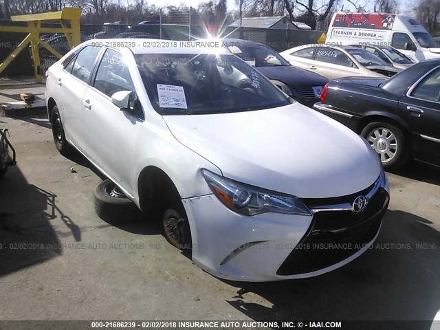 4T4BF1FK3FR480477 - 2015 TOYOTA CAMRY LE/XLE/SE/XSE WHITE photo 1