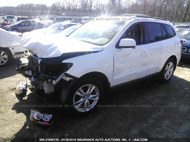 5XYZH4AG7BG062074 - 2011 HYUNDAI SANTA FE SE WHITE photo 2