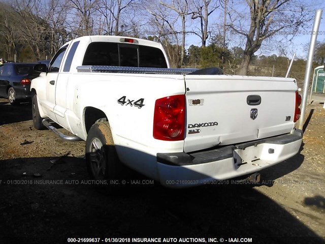 1D7HW42N65S199607 - 2005 DODGE DAKOTA SLT WHITE photo 3