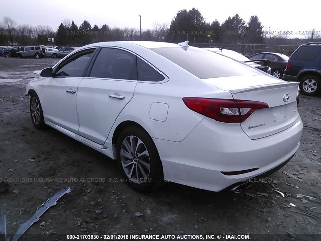 5NPE34AF5FH056079 - 2015 HYUNDAI SONATA SPORT/LIMITED WHITE photo 3