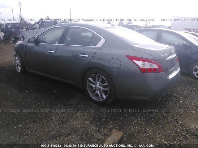 1N4AA5AP0BC833427 - 2011 NISSAN MAXIMA S/SV GRAY photo 3