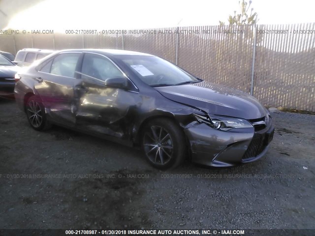 4T1BF1FK2HU653256 - 2017 TOYOTA CAMRY LE/XLE/SE/XSE Gris photo 1