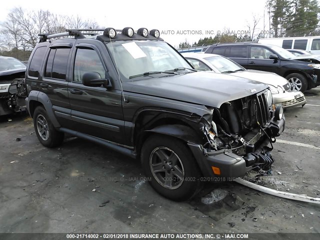1J4GL38K86W192474 - 2006 JEEP LIBERTY RENEGADE GRAY photo 1