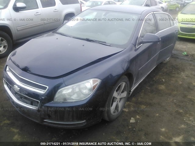 1G1ZC5E1XBF281942 - 2011 CHEVROLET MALIBU 1LT 蓝色 照片 2