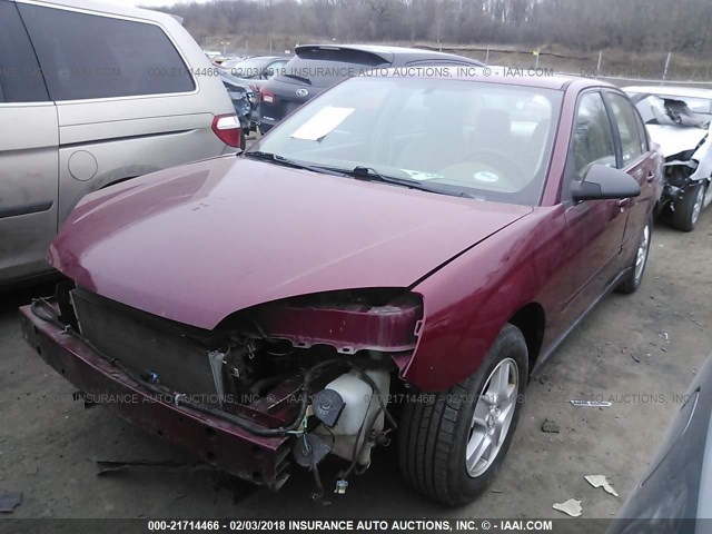 1G1ZT54835F145753 - 2005 CHEVROLET MALIBU LS 红色 照片 2
