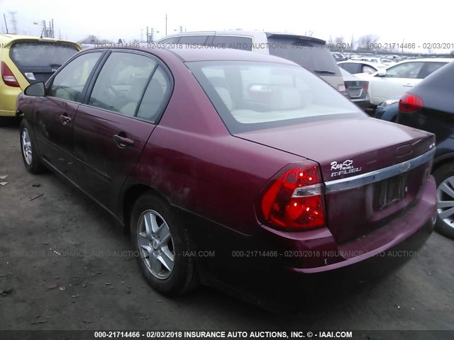 1G1ZT54835F145753 - 2005 CHEVROLET MALIBU LS 红色 照片 3