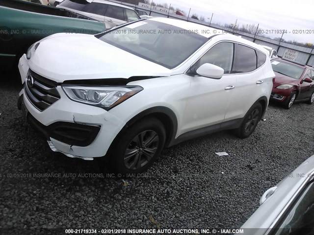 5XYZT3LB1GG368236 - 2016 HYUNDAI SANTA FE SPORT  WHITE photo 2