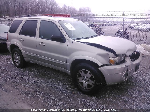 1FMYU04175KB77579 - 2005 FORD ESCAPE LIMITED Champagne photo 1