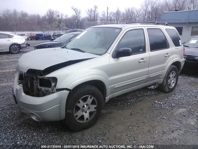 1FMYU04175KB77579 - 2005 FORD ESCAPE LIMITED Champagne photo 2