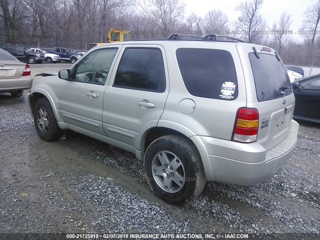 1FMYU04175KB77579 - 2005 FORD ESCAPE LIMITED Champagne photo 3